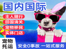营口国际宠物托运 【国